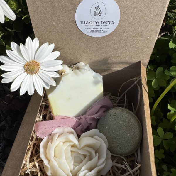 Box natura